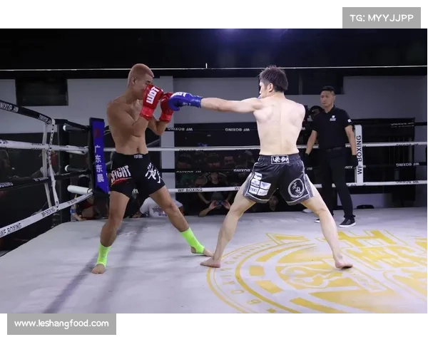 WKA亚太金腰带争夺战首次引入即时回放系统提升比赛公平性与透明度